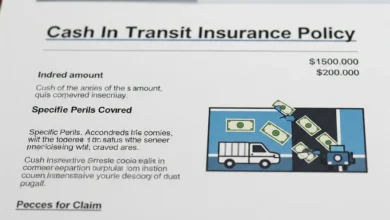 The Ultimate Guide to Cash in Transit Insurance for Your Business